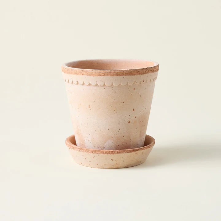 plant pot saucers clay Helena Pot And Saucer Set