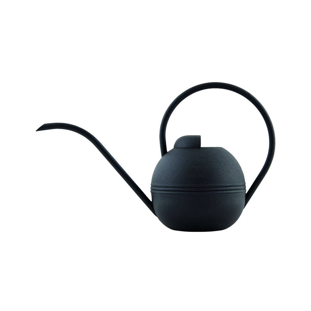 Iron Black Watering Can