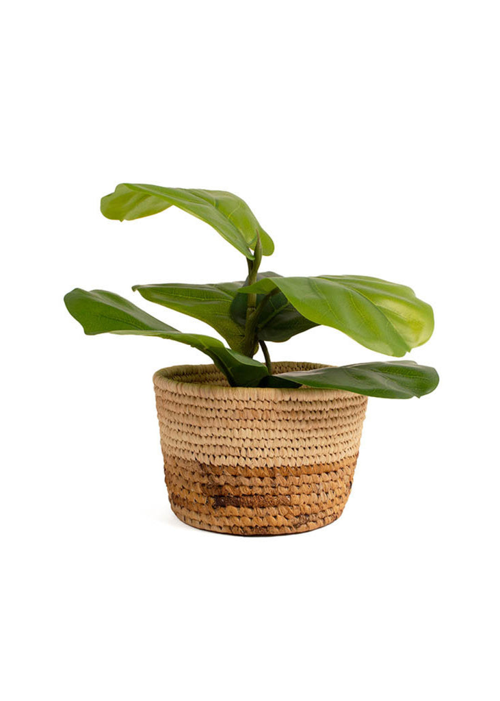Sand Woven Tapered Planter 7.7"
